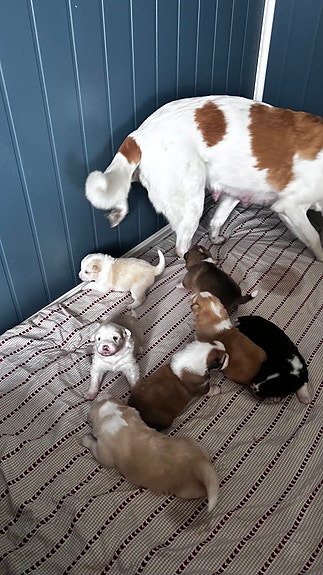 Product image 3 of 10