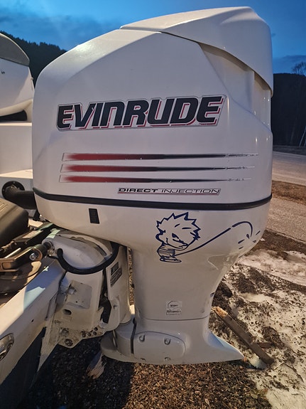 Evinrude 150