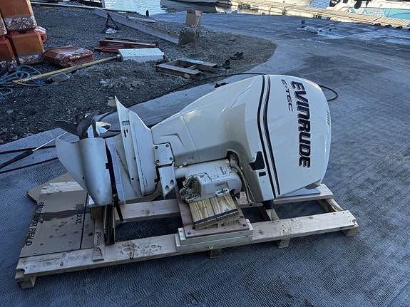 Evinrude Etec 250