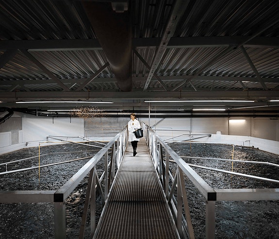 Bilde 1 av 1 i jobbannonse-galleriet