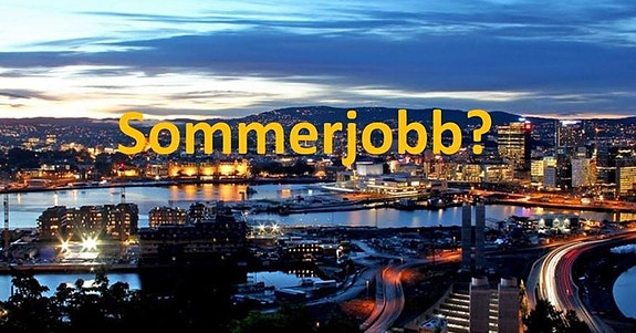 Bilde 1 av 1 i jobbannonse-galleriet