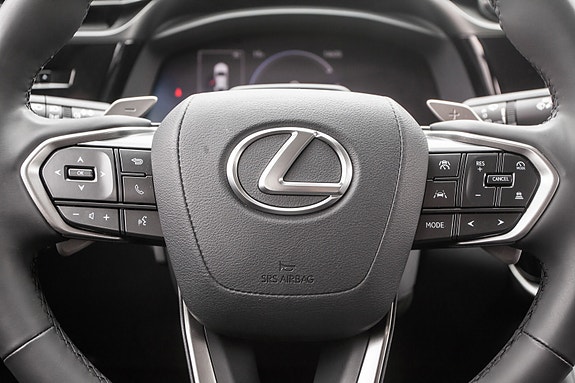 Lexus RZ450e 10 of 20