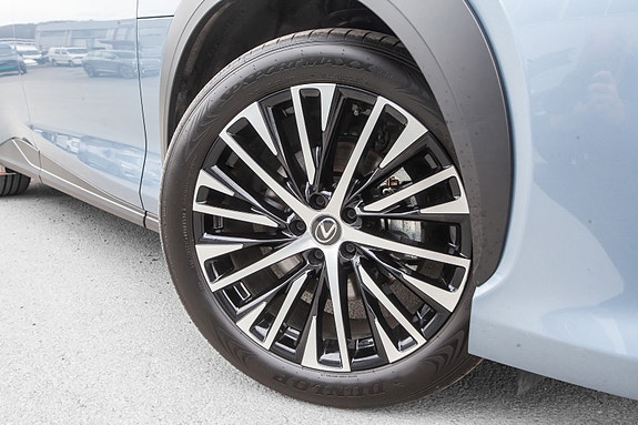 Lexus RZ450e 18 of 20