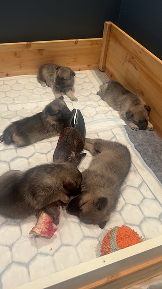 Product image 5 of 10