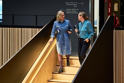 Bilde 2 av 7 i jobbannonse-galleriet