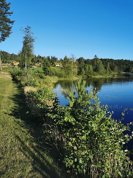 Bilde 1 av 1 i jobbannonse-galleriet