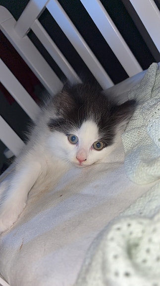 Product image 8 of 9