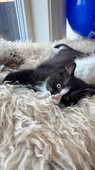 Product image 3 of 9