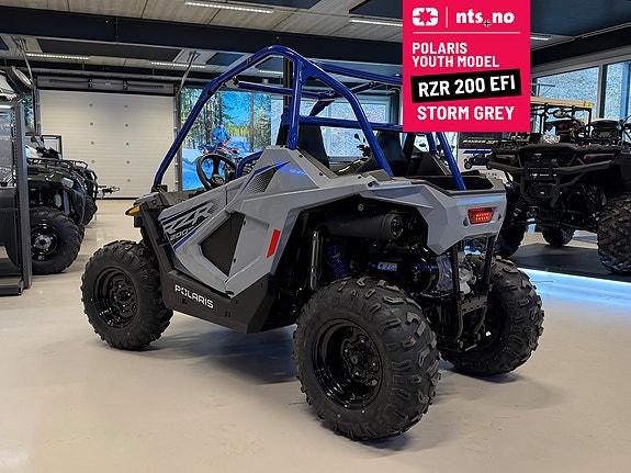 Polaris RZR 200 EFI YOUTHMODELL 8 of 8