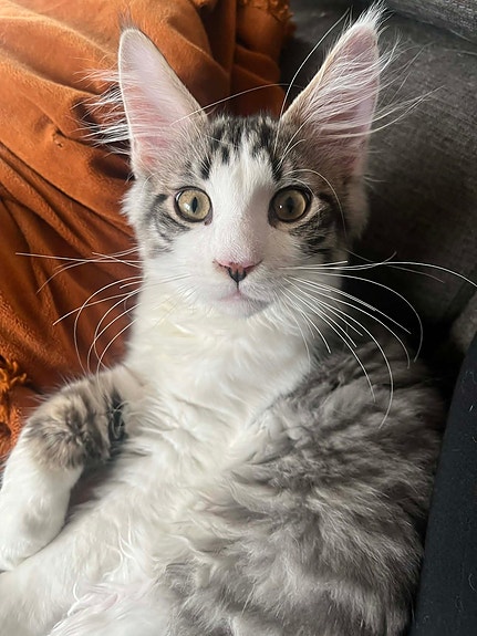 Product image 6 of 9