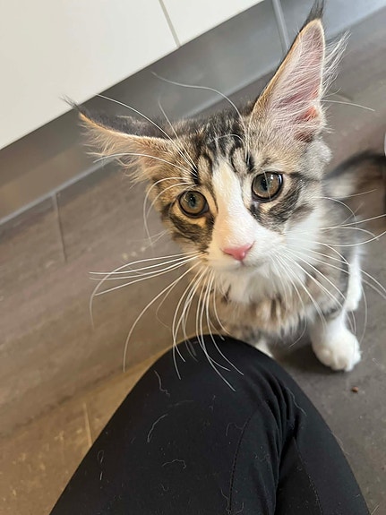 Product image 3 of 9