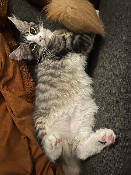 Product image 2 of 9