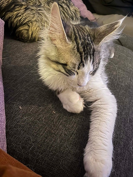 Product image 5 of 9