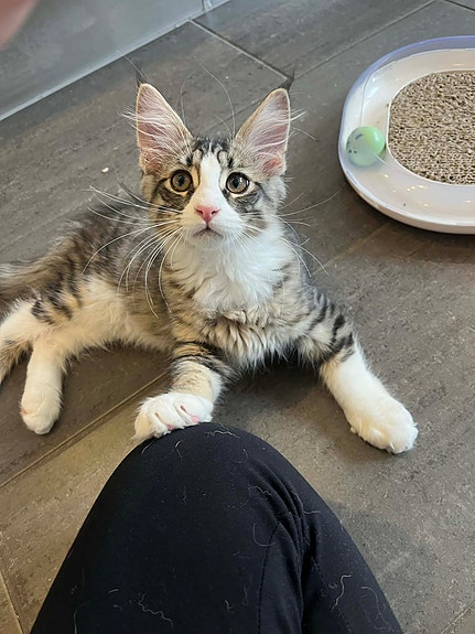 Product image 4 of 9