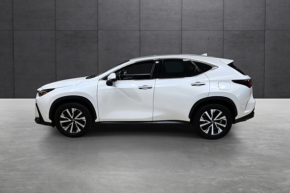 Lexus NX450h 2 of 21