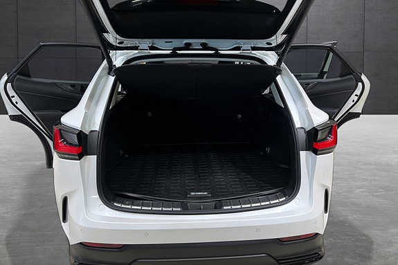 Lexus NX450h 18 of 21