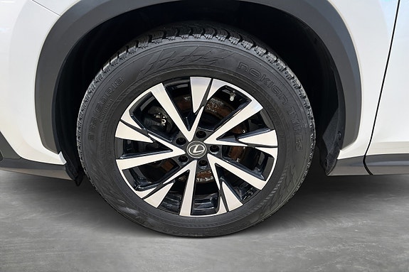 Lexus NX450h 20 of 21
