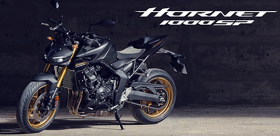 Honda CB1000 Hornet SP 5 of 5