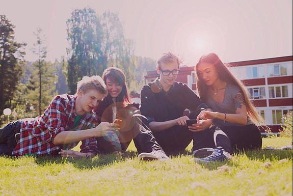 Buskerud fylkeskommune, Ringerike folkehøgskole logo