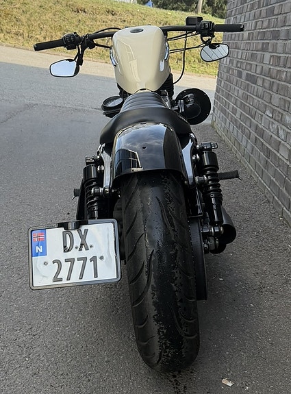 Harley-Davidson XL 1200X Forty-Eight 12 of 14