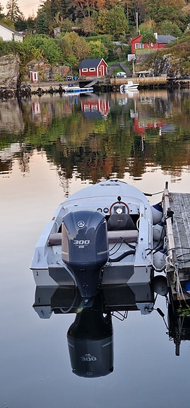 Phantom 21, Yamaha 300HK 4 of 5