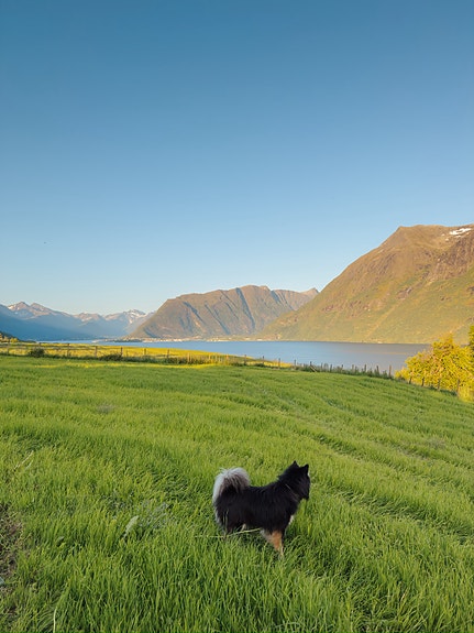 Product image 8 of 9