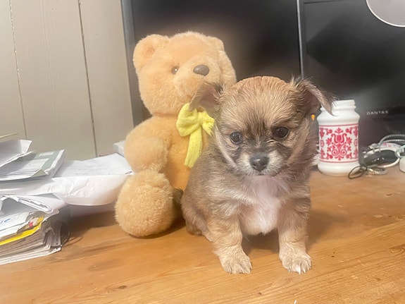 Product image 9 of 9