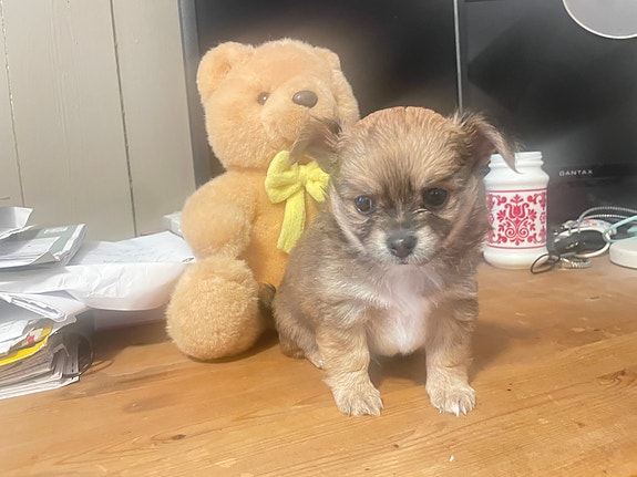 Product image 3 of 9