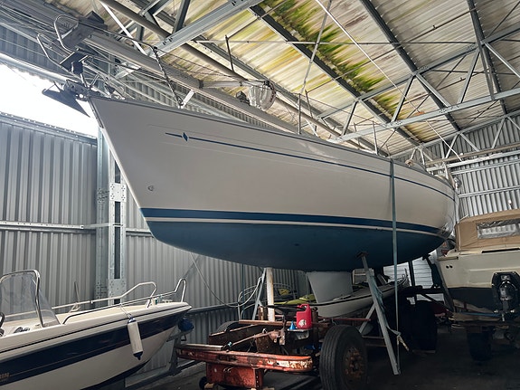 Bavaria 36, Redusert pris 2 of 5