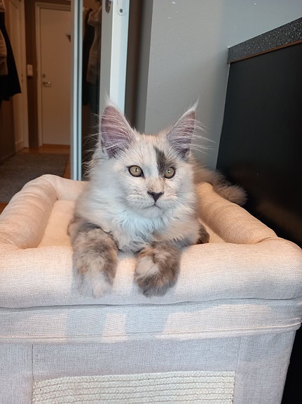 Product image 10 of 10