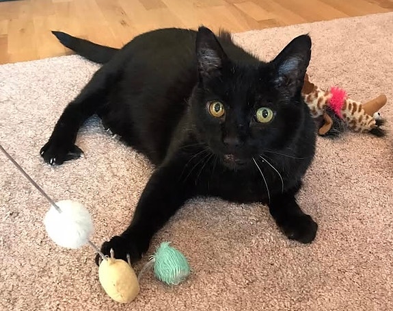 Product image 2 of 9