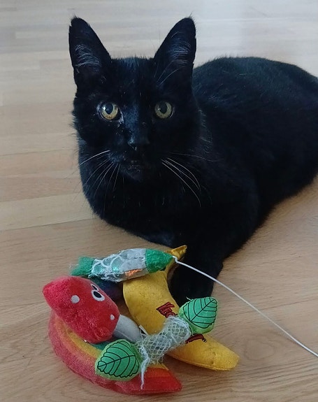 Product image 4 of 9