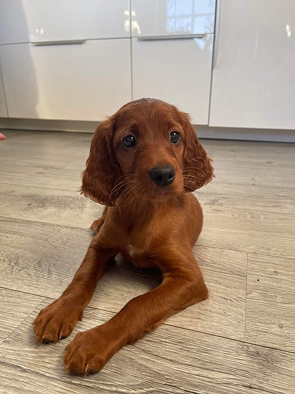 Product image 5 of 9