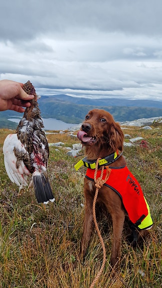 Product image 4 of 9