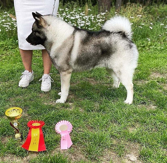 Product image 3 of 10