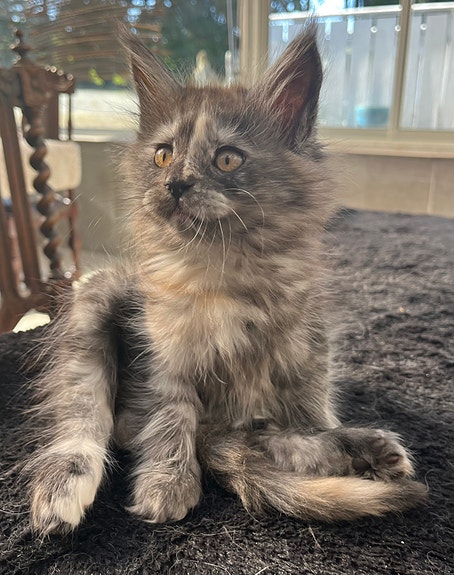 Product image 6 of 8