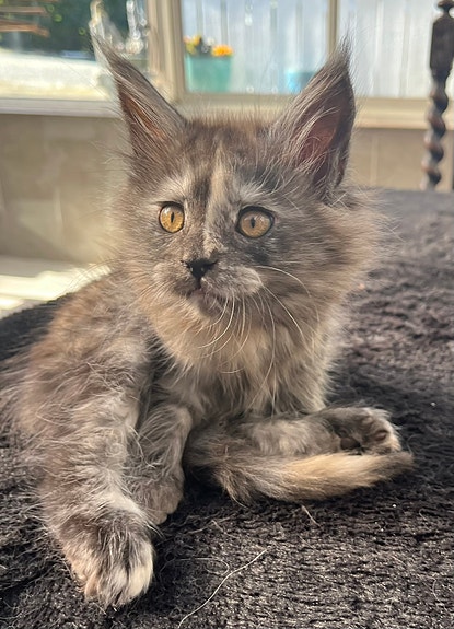 Product image 2 of 8