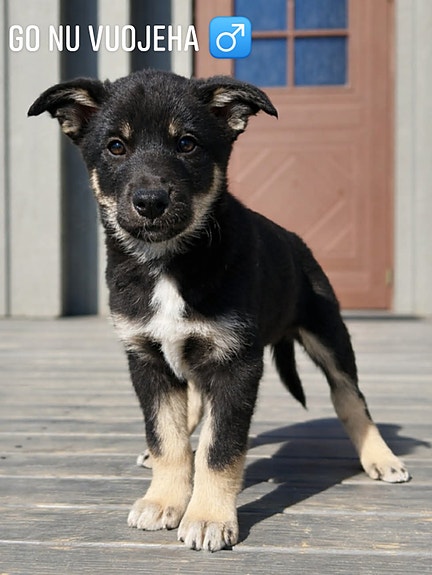 Product image 3 of 10