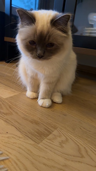 Product image 3 of 7