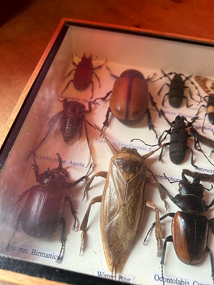 Product image 7 of 10