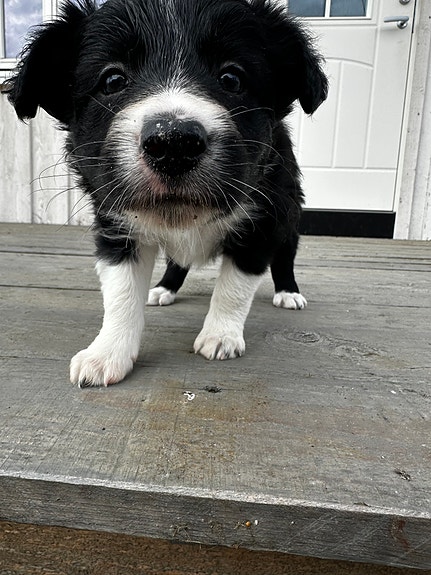 Product image 6 of 9