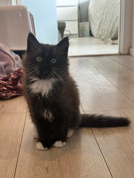 Product image 6 of 8