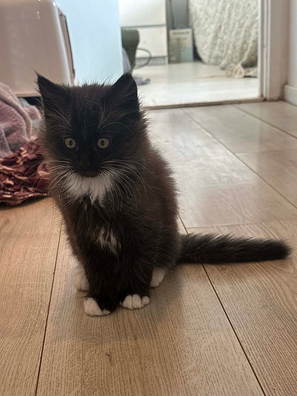 Product image 7 of 8