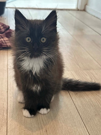 Product image 5 of 8