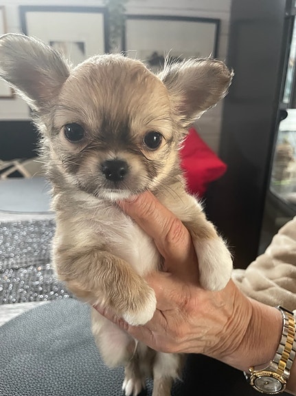 Product image 5 of 10