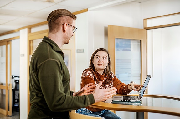 Bilde 1 av 1 i jobbannonse-galleriet