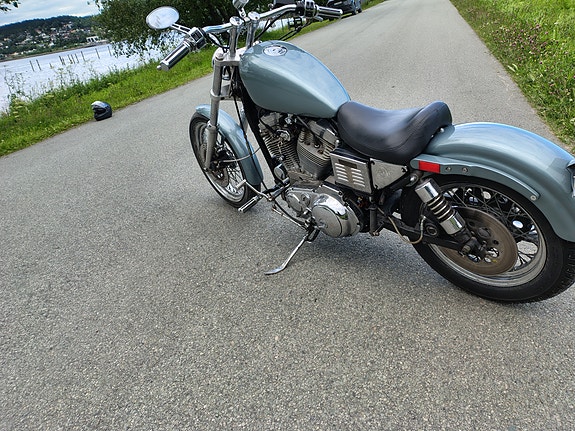 Harley-Davidson 883/1200, 4 of 5