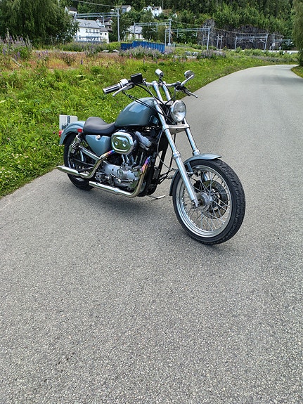 Harley-Davidson 883/1200, 3 of 5