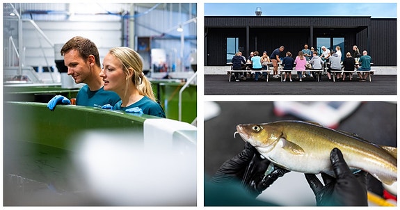 Bilde fra arbeidsgiver