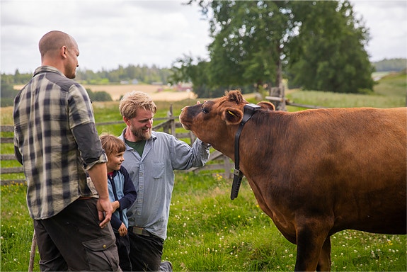 Bilde 1 av 3 i jobbannonse-galleriet